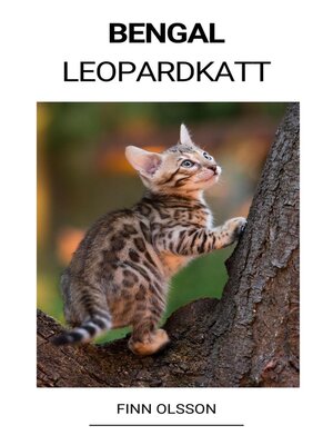 cover image of Bengal (Leopardkatt)
